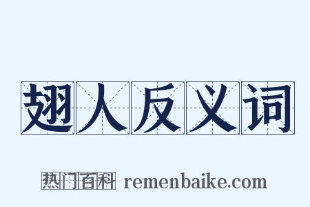 翅人反义词是什么意思的图片